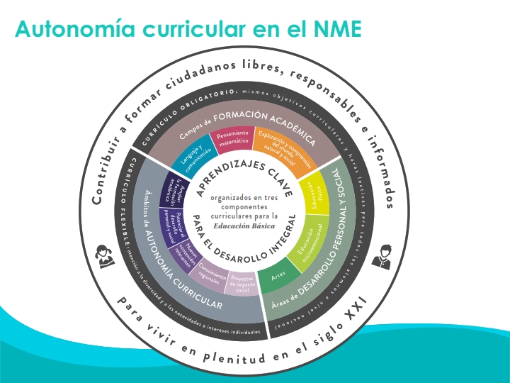 La autonomía curricular en el nuevo modelo educativo | Educación Primaria